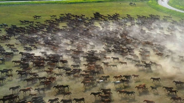 2024新疆伊犁天马文化旅游节即将开幕(图1)