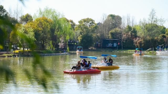 2024年进度条过半奉贤文化旅游上半年为民服务答卷请您“批阅”→(图15)