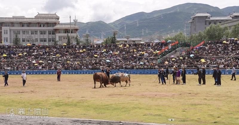 游客50284万人次旅游收入4706亿元！2024年凉山彝族火把节火爆出圈(图4)
