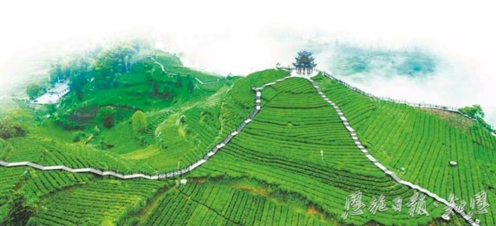 文旅引擎助推县域经济质效双升(图2)